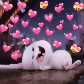 🐰 corações, amor, fofo, coelho, animal whatsapp sticker