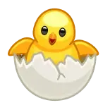 🐣