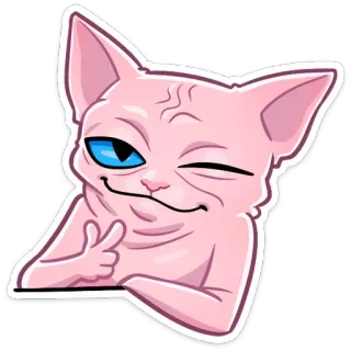 😉 cat, sphinx, animal, pet, wink, funny, meme telegram sticker