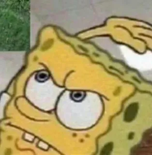 🧼 Spongebob Squarepants Spongebob, Cartoon, Meme, Wütend, Nickelodeon, Figur whatsapp sticker