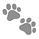 🐾