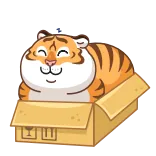 😴 tiger, katze, box, tier, cartoon, lustig, süß telegram sticker