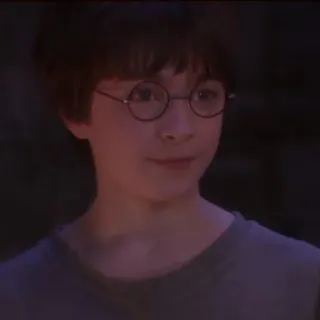 🦁 Harry Potter harry potter, daniel radcliffe, mago, magia, joven mago, película whatsapp sticker