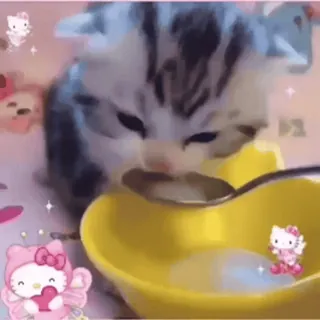 🌟 Hello Kitty cat, kitten, animal, cute, kawaii, Hello Kitty, spoon, bowl telegram sticker