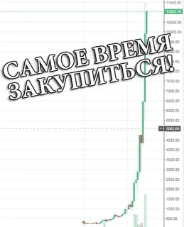 😲 САМОЕ ВРЕМЯ ЗАКУШИТЬСЯ! Kryptowährung, Bitcoin, Investment, Finanzen telegram sticker