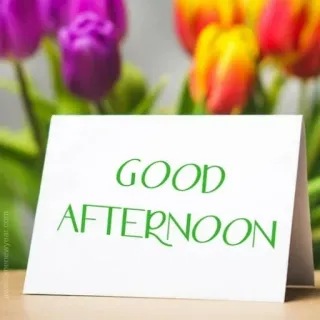🙏 GOOD AFTERNOON greeting, afternoon, flowers, tulips, note telegram sticker