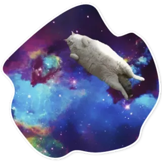 😴 kot, kosmos, galaktyka, zwierzę, zwierzak, śmieszne, słodkie telegram sticker