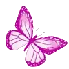 🦋