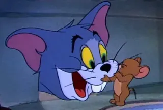 😽 Tom and Jerry cartone animato, gatto, topo, amicizia, animato, classico, personaggi telegram sticker