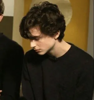 ☀️ Timothée Chalamet, diễn viên, người nổi tiếng, đàn ông, chân dung telegram sticker