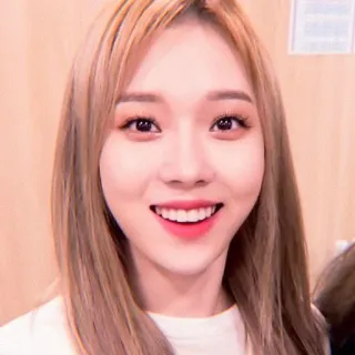 🌸 woman, portrait, kpop, singer, smile, beauty, face, person whatsapp sticker