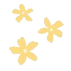 🌼