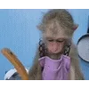 🐵