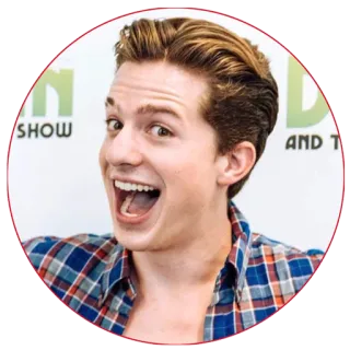 😃 Charlie Puth musician, singer, celebrity, portrait, charlie puth telegram sticker