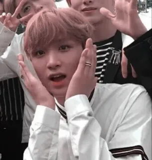 🌻 K-POP, アイドル, 歌手, エンターテイナー, ヘチャン, NCT telegram sticker
