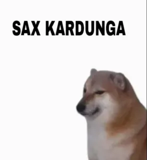 😆 SAX KARDUNGA 개, 밈, Cheems, Doge, 텍스트 telegram sticker