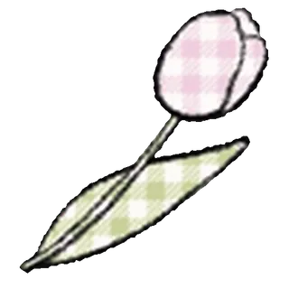 🌷