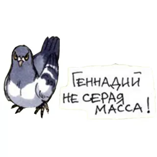 🤓 Геннадий НЕ СЕРАЯ МАССА! pigeon, oiseau, texte, russe whatsapp sticker