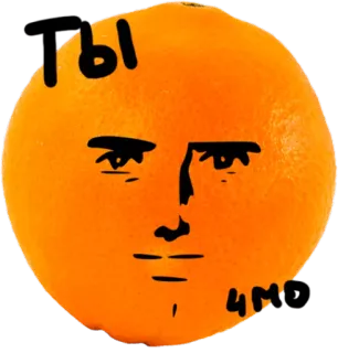 🍊Mandarin @lennysticker whatsapp stickers