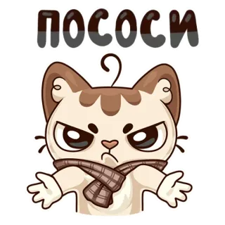 😡 ПОСОСИ kucing, marah, menyinggung, rusia telegram sticker