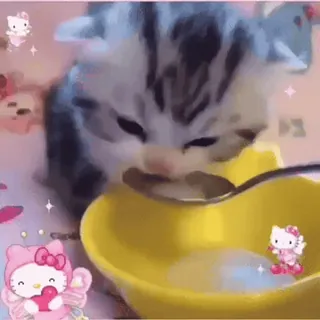 ❤ Hello Kitty kucing, anak kucing, makanan, imut, kawaii, Hello Kitty telegram sticker
