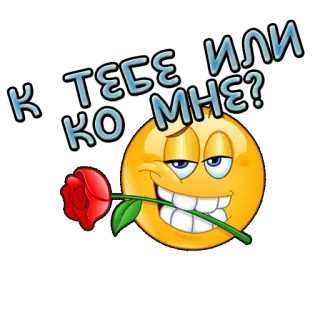 Пошлые фразы @stickernayaa telegram stickers