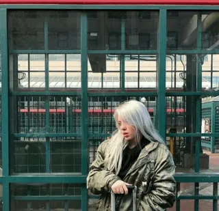 😐 Billie Eilish Billie Eilish, cantante, compositora, celebridad, estrella pop telegram sticker