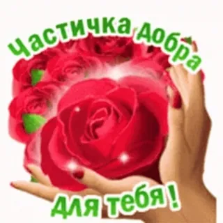 🙏 Частичка добра для тебя! whatsapp sticker