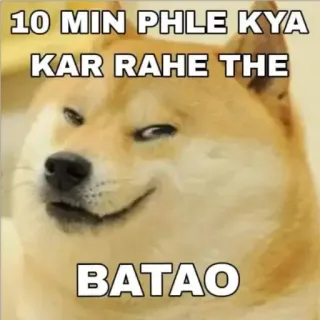 🌟 Doge Doge Meme 10 MIN PHLE KYA KAR RAHE THE BATAO doge, meme, question, funny, suspicious, smug, shiba inu telegram sticker