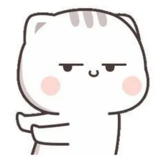 🧉 cat, sticker, cute, animal, cartoon telegram sticker