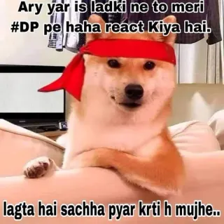 🙂 Doge Ary yar is ladki ne to meri #DP pe haha react Kiya hai. lagta hai sachha pyar krti h mujhe.. doge, meme, humor, funny, love, reaction, social media telegram sticker