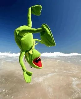 😂 Kermit Kermit the Frog, beach, ocean, puppet, Muppets, funny telegram sticker