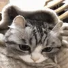 🤗