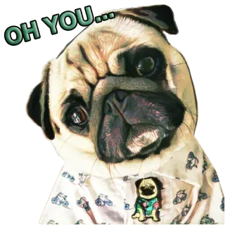 😶 OH YOU... 강아지, 퍼그, 웃긴, 어휴, 귀여운, 동물, 밈 telegram sticker
