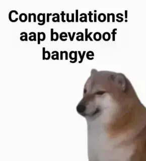 😛 Cheems Doge meme Congratulations! aap bevakoof bangye telegram sticker