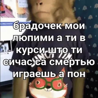 Больше стиков тут: @stikery4 telegram stickers
