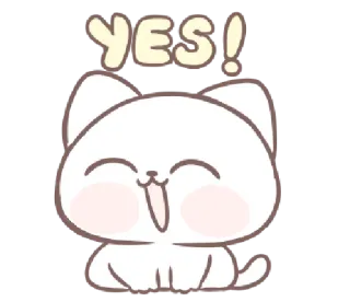 🙆‍♀ YES! gato, fofo, sim, feliz, animal whatsapp sticker
