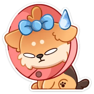 😅 anjing, anak anjing, sedih, kerucut, imut, hewan, peliharaan whatsapp sticker