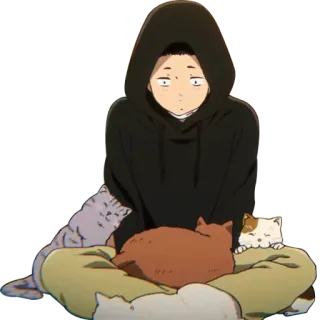 😽 anime, cat, hoodie, cute, character, boy, sitting telegram sticker