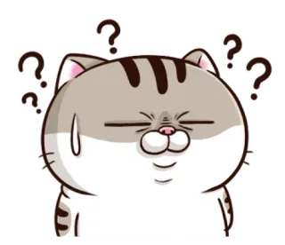 😖 고양이, 물음표, 혼란스러움, 생각, 동물, 만화, 스티커, 걱정 telegram sticker