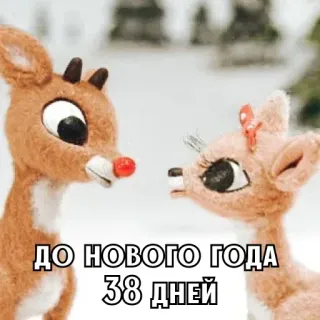 🎄 ДО НОВОГО ГОДА 38 ДНЕЙ renne, noël, nouvel an, vacances, russe, jours restants whatsapp sticker