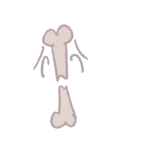 😩 os, squelette, fracture, médical, blessure whatsapp sticker
