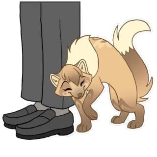 🐈 telegram sticker