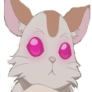 🐀 동물, 귀여운, 햄스터, 설치류, 애완동물 telegram sticker