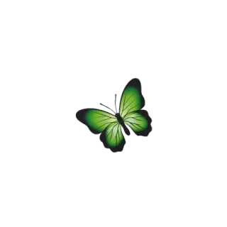 🦋 vlinder, groen, natuur, insect, lente telegram sticker
