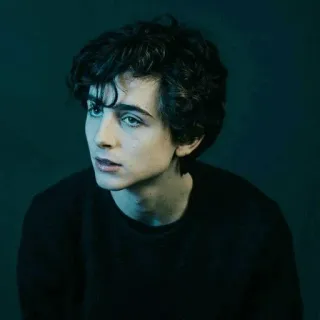 😐 Timothée Chalamet นักแสดง, ภาพเหมือน, คนดัง, ผู้ชาย, คน, ภาพถ่ายหน้าตรง telegram sticker