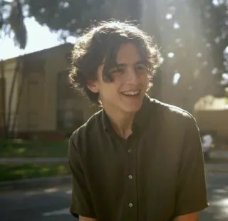 🦇 Timothée Chalamet persona, actor, celebridad, sonriendo, retrato telegram sticker