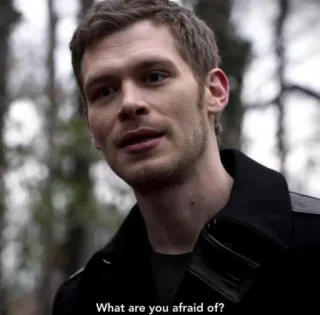 🤔 Klaus Mikaelson The Vampire Diaries What are you afraid of? 뱀파이어, TV 프로그램, 배우, 무서운, 두려움, 질문 telegram sticker