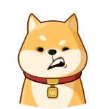 😒 chien, shiba inu, mème, animal, animal de compagnie, mignon, confus, drôle telegram sticker