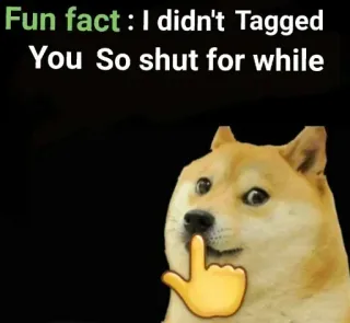 🤫 doge Fun fact : I didn't Tagged You So shut for while собака, мем, весело, животное whatsapp sticker